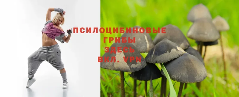 ссылка на мегу   Белореченск  Псилоцибиновые грибы MAGIC MUSHROOMS  купить наркотик 